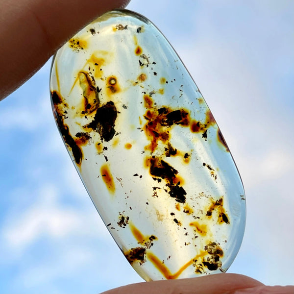 Colombian Young Amber - Image #7