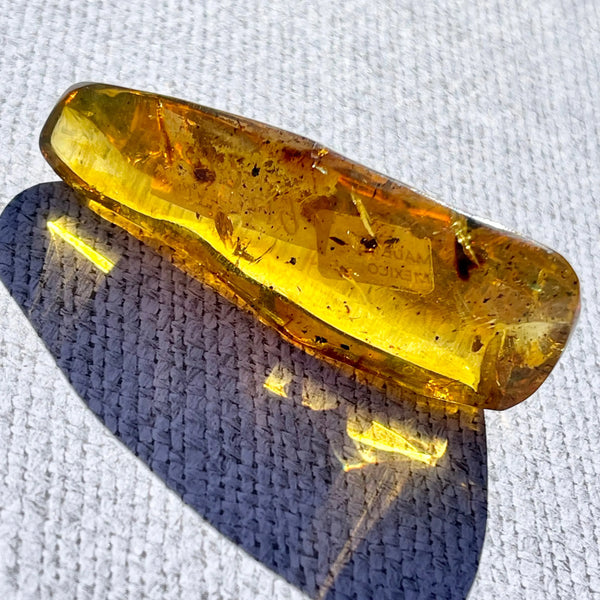 Chiapas Amber with Insects (Copy) - Image #2