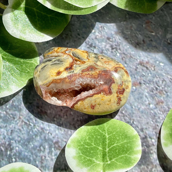 Crazy Lace Agate Palm Pillows - Image #9