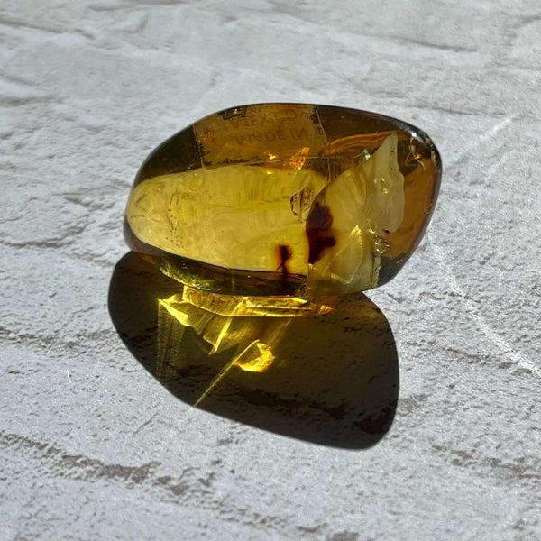 Insect included Chiapas Amber - Image #8
