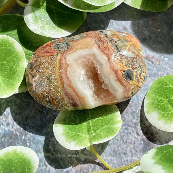 Crazy Lace Agate Palm Pillows - Image #6