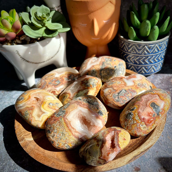 Crazy Lace Agate Palm Pillows - Image #1