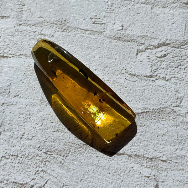 Insect included Chiapas Amber - Image #2