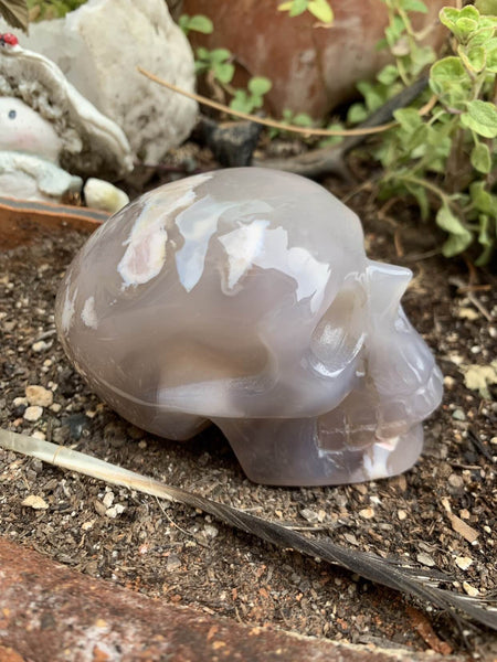 Agate skull 3.6”