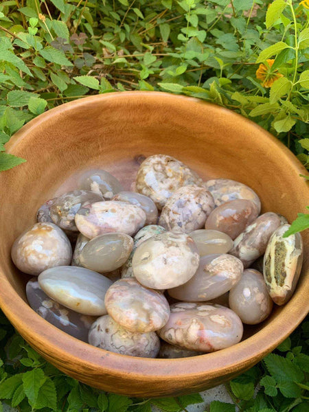 Flower Agate Palmstones