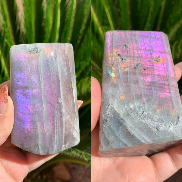 Sunset Labradorite Freeforms