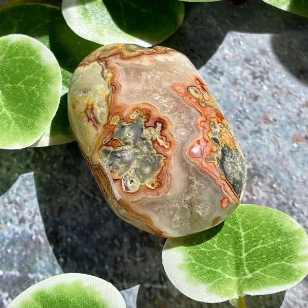 Crazy Lace Agate Palm Pillows - Image #7