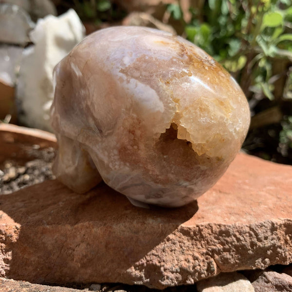 Flower Agate Skull
