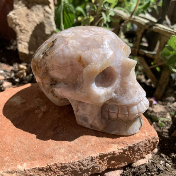 Flower Agate Skull