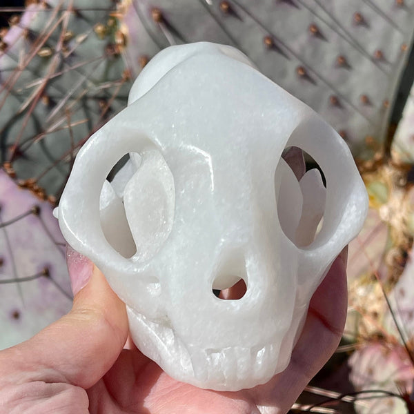 White Jade Cat Skull - Image #3