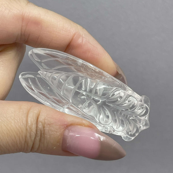 Quartz Cicadas