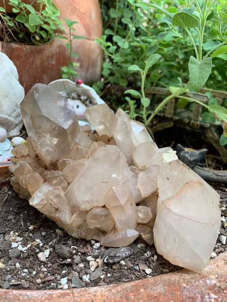 Smoky Quartz Cluster