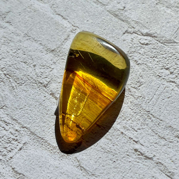 Insect included Chiapas Amber - Image #4