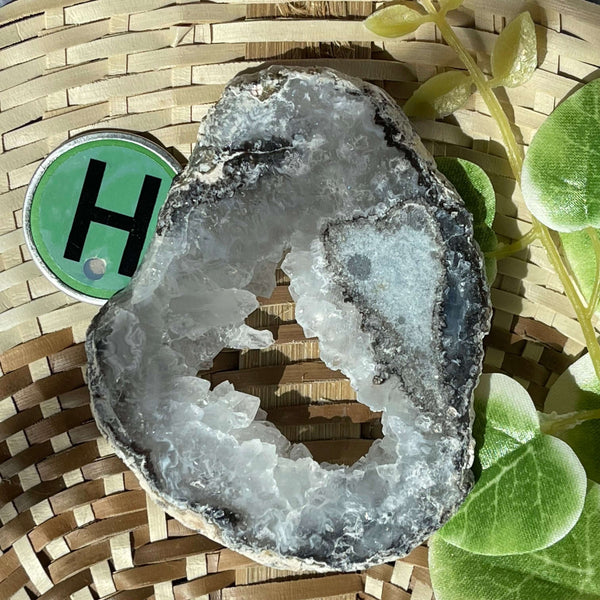 Trancas Geode Slices - Image #12