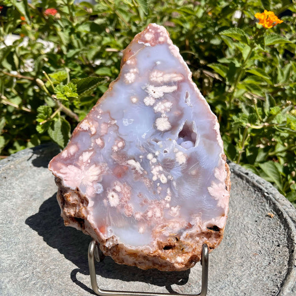 Flower Agate Slabs - Image #2