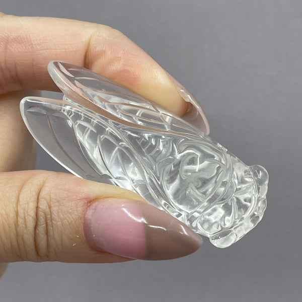 Quartz Cicadas