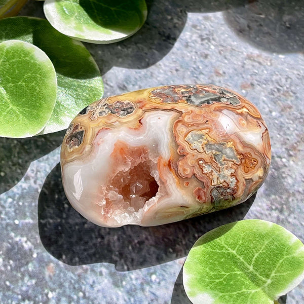 Crazy Lace Agate Palm Pillows - Image #4