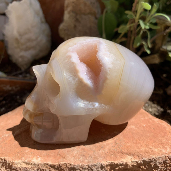 Flower Agate Skull