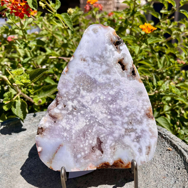 Flower Agate Slabs - Image #1