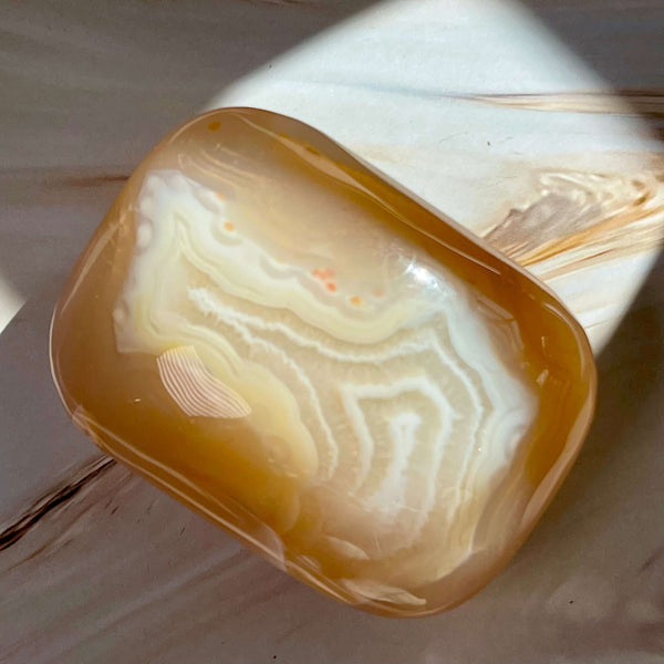 Flower Agate Palm Pillows - Image #5