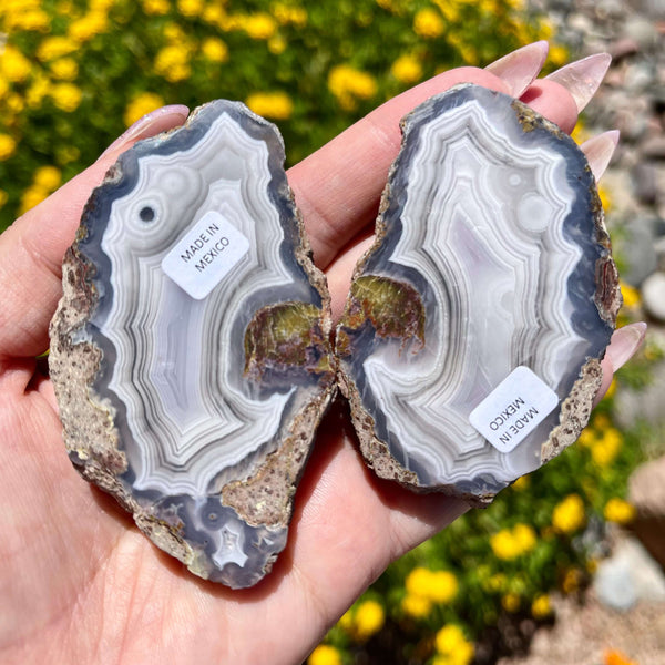Laguna Agate Geode Pairs - Image #2