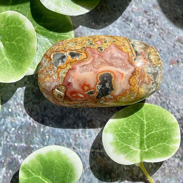 Crazy Lace Agate Palm Pillows - Image #8