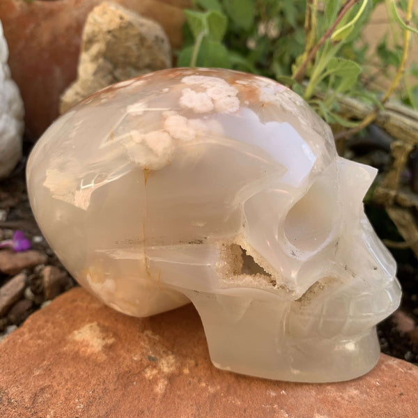 Flower Agate Skull
