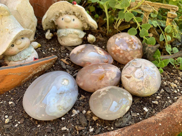 Flower Agate Palmstones