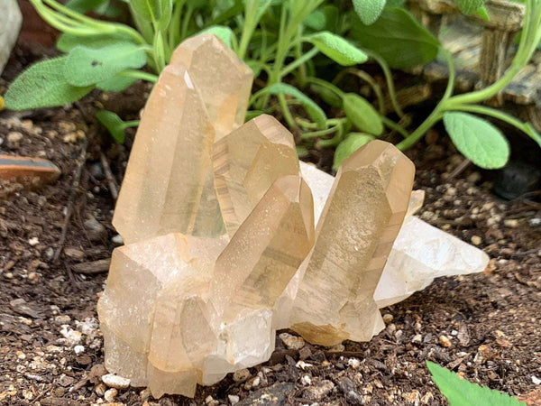 Lemurian Quartz cluster