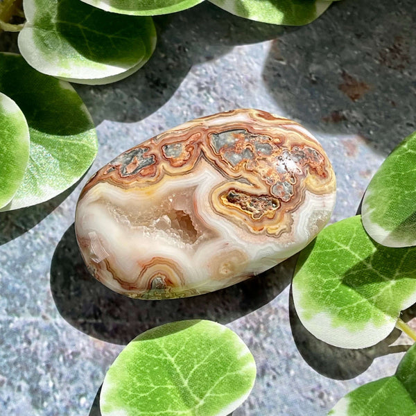 Crazy Lace Agate Palm Pillows - Image #2