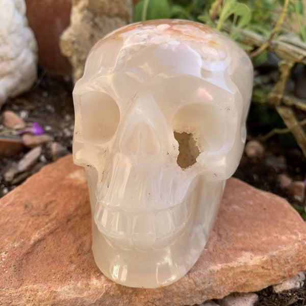 Flower Agate Skull