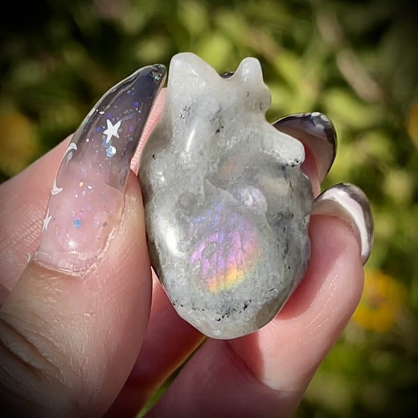Labradorite Mini Anatomical Hearts