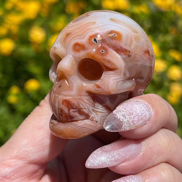 Banded Carnelian Skulls - Image #2