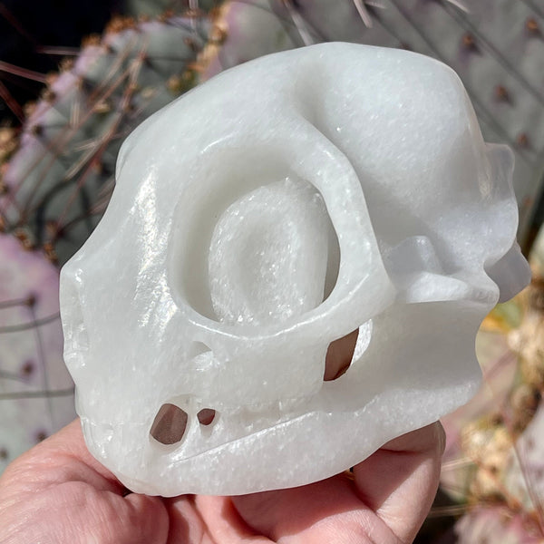 White Jade Cat Skull - Image #2