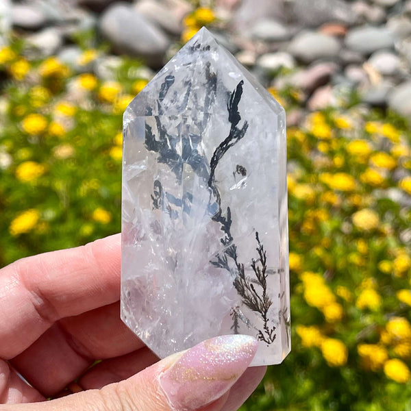 Dendritic Quartz Points - Image #6