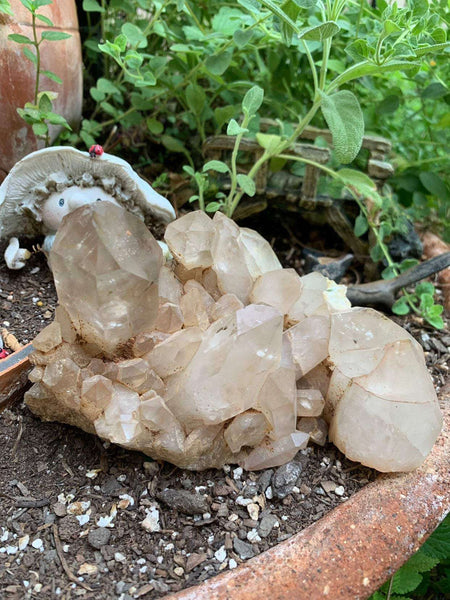 Smoky Quartz Cluster
