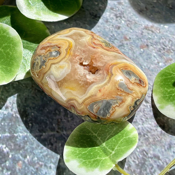 Crazy Lace Agate Palm Pillows - Image #5