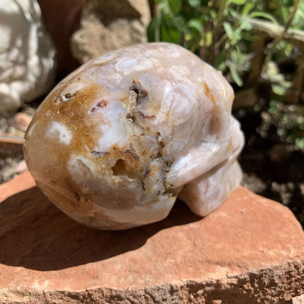Flower Agate Skull