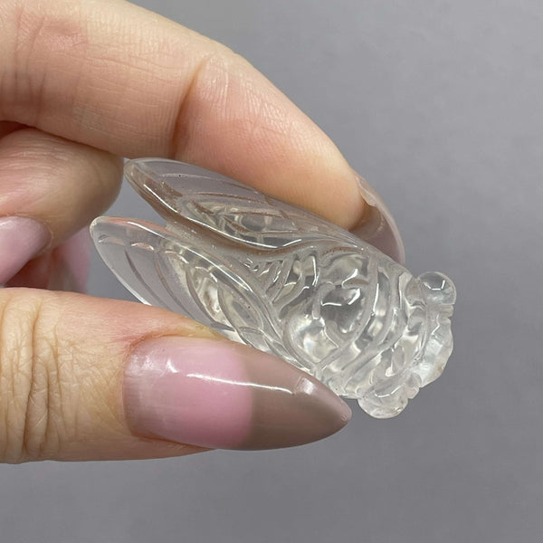 Quartz Cicadas
