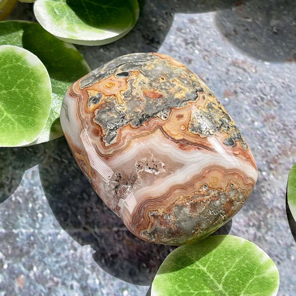 Crazy Lace Agate Palm Pillows - Image #3