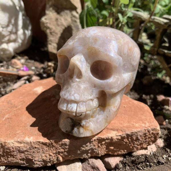 Flower Agate Skull