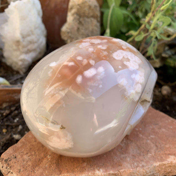 Flower Agate Skull