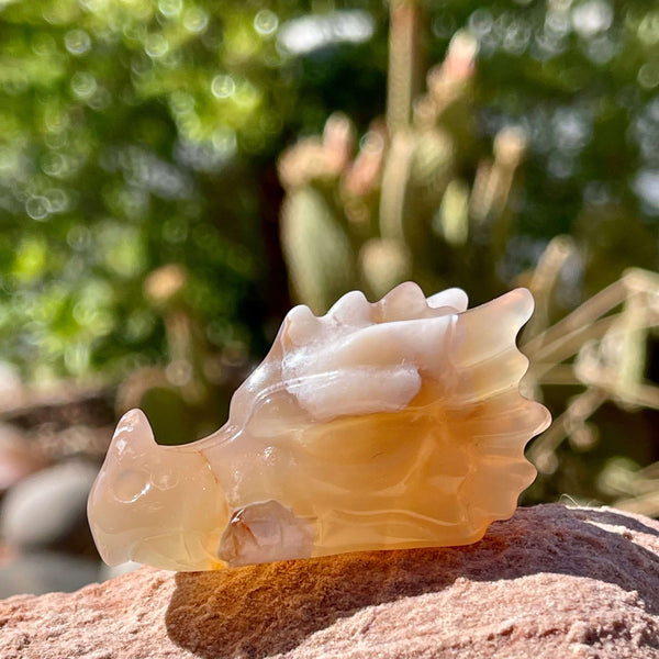 Flower Agate Mini Dragons - Image #5