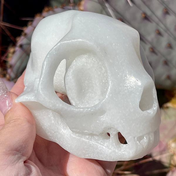 White Jade Cat Skull - Image #1