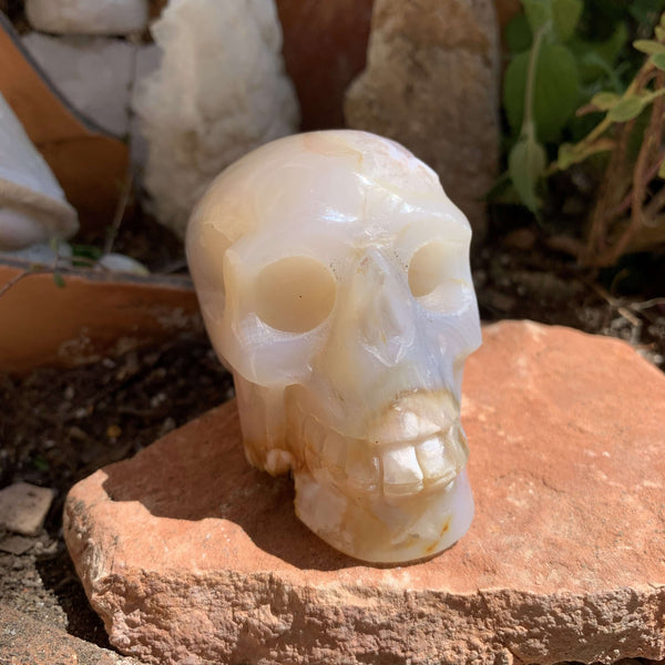 Flower Agate Skull