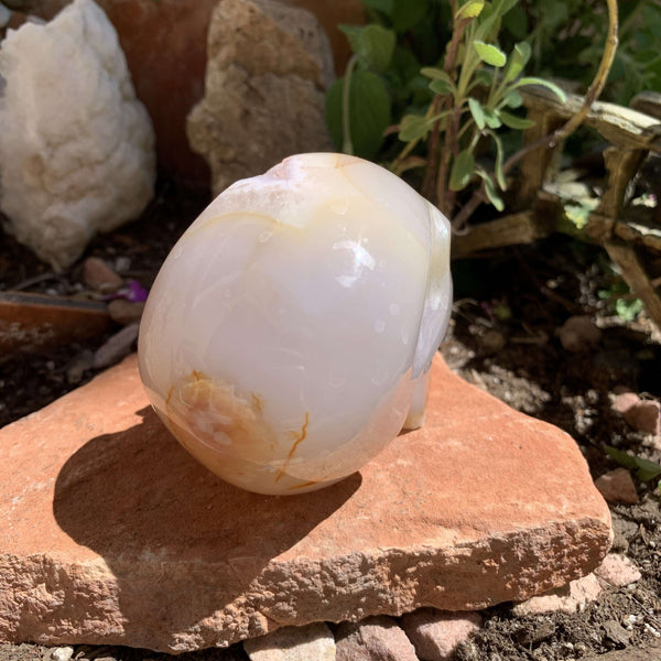 Flower Agate Skull