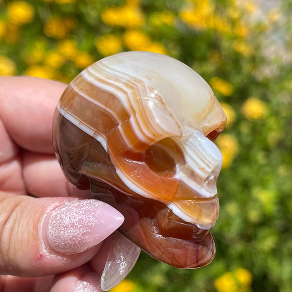Banded Carnelian Skulls - Image #3