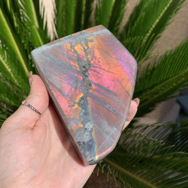 Sunset Labradorite Freeforms