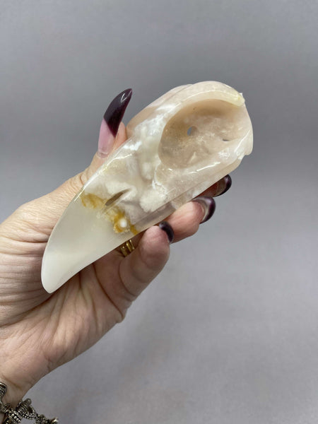 Flower Agate Raven Skull