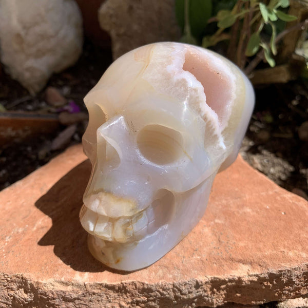 Flower Agate Skull